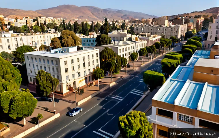에리트레아의 도시 계획 - Photorealistic aerial view of a carefully planned urban district in Asmara, Eritrea, broad tree-line...